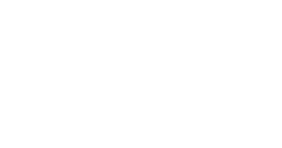 Xeno Energy